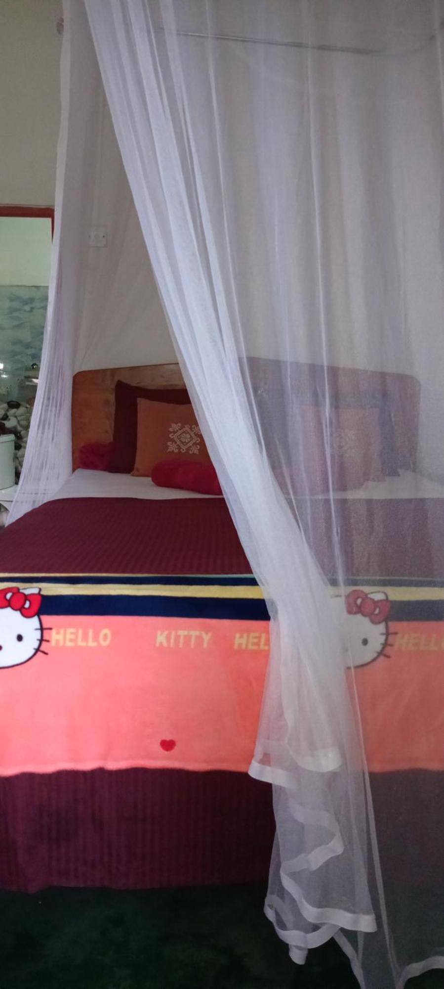 Dream Nest Διαμέρισμα Ella Εξωτερικό φωτογραφία